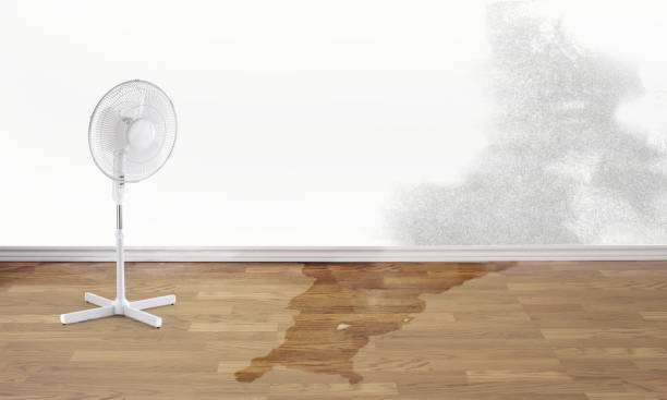 Best Sewage cleanup and water damage restoration  in West Sand Lake, NY