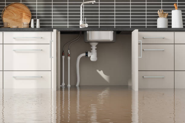 Best Ceiling water damage repair  in West Sand Lake, NY