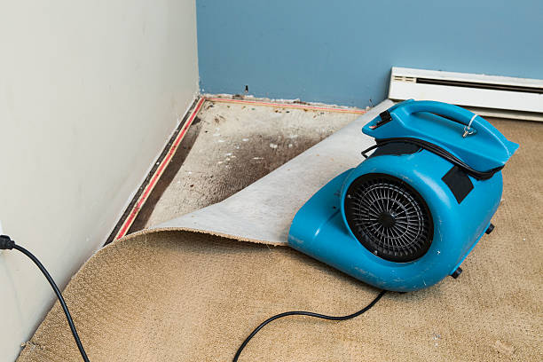 Best Local water damage restoration  in West Sand Lake, NY